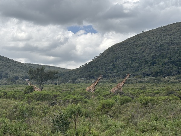 Luxury holiday homes in Kenya with natural landscapes
